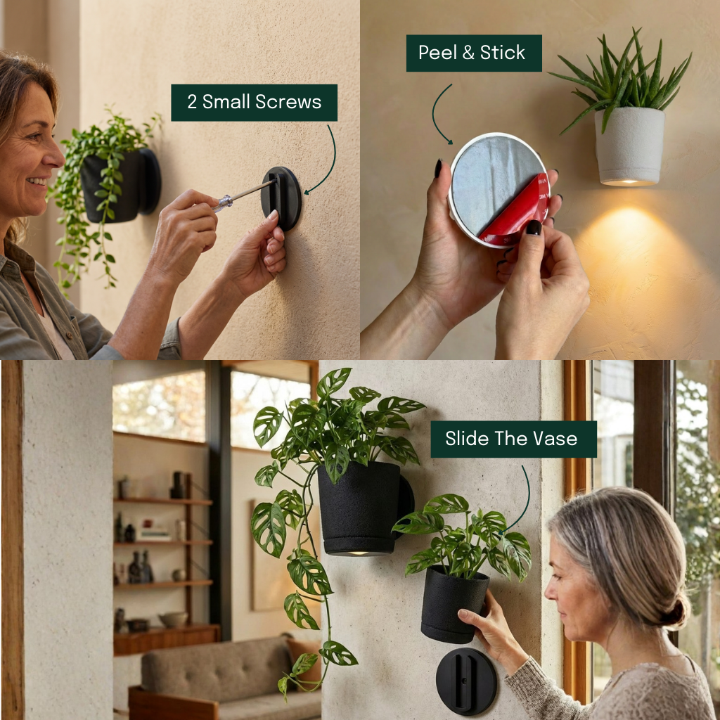 Spotlight Planters Bundle (Small + Large)