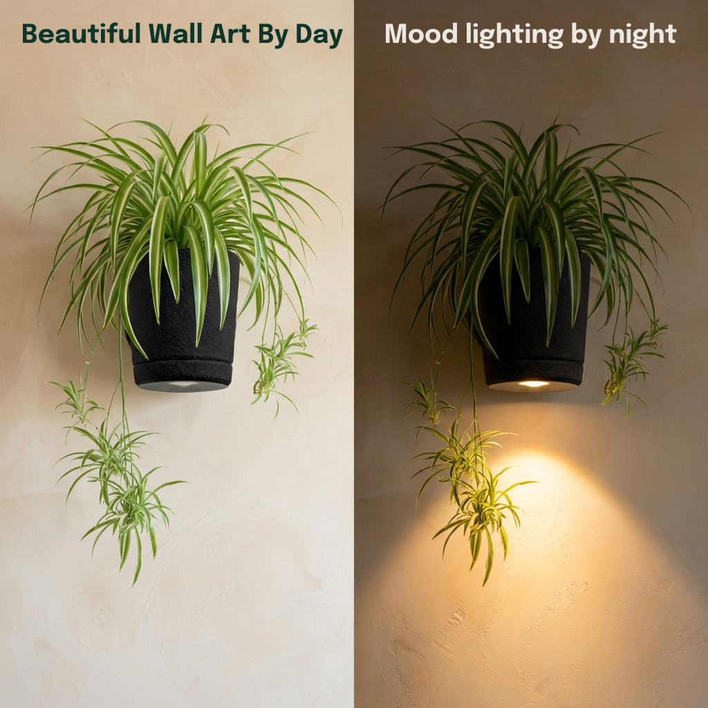 Spotlight Planters Bundle (Small + Large)