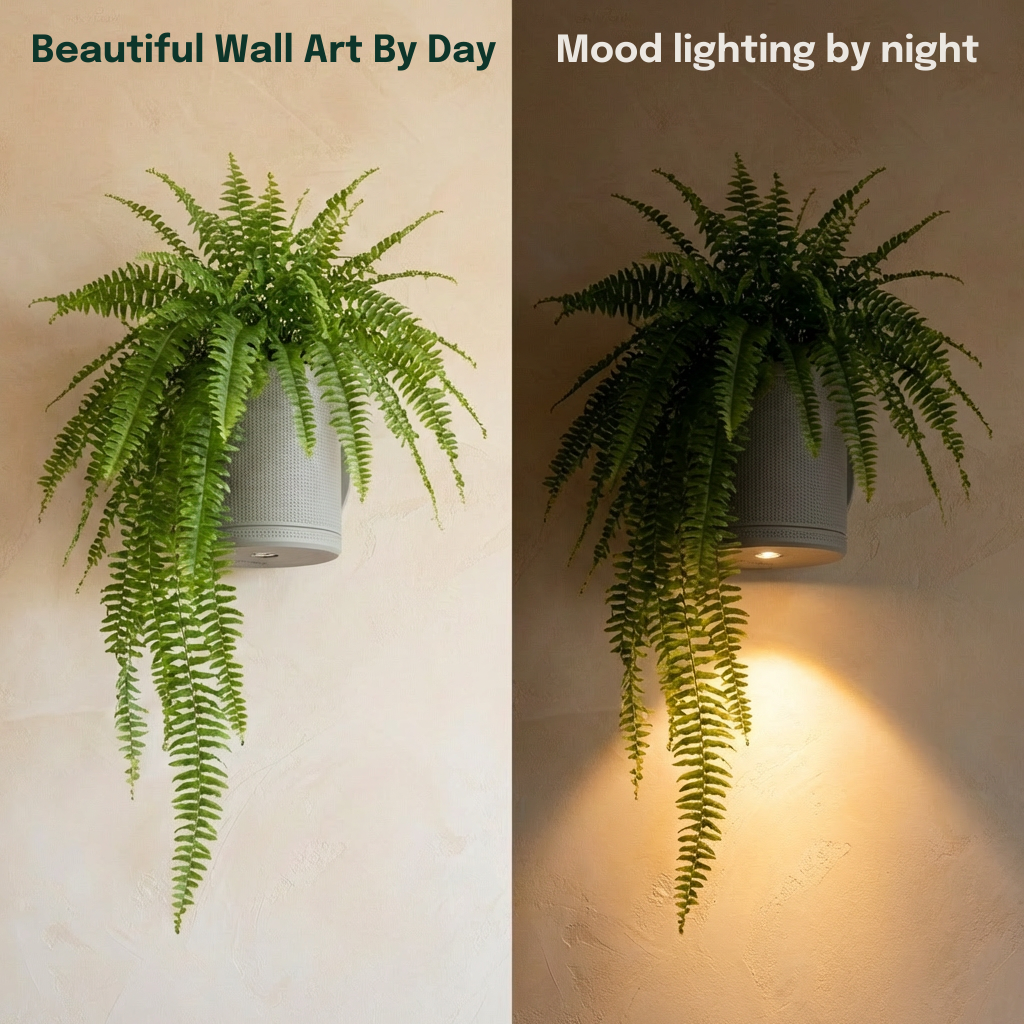 Spotlight Planters Bundle featuring small and large planters with easy peel and stick installation. Day and night tranformation