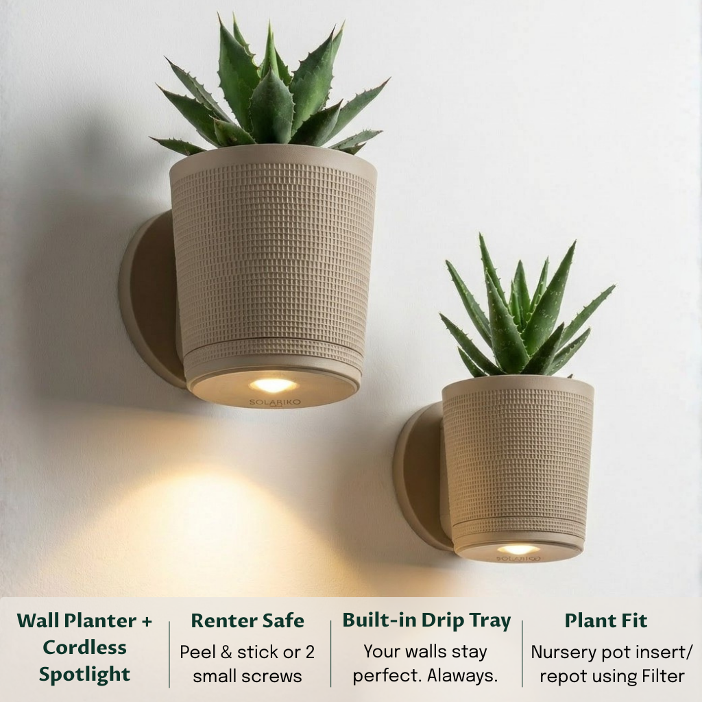 Spotlight Planters Bundle (Small + Large)