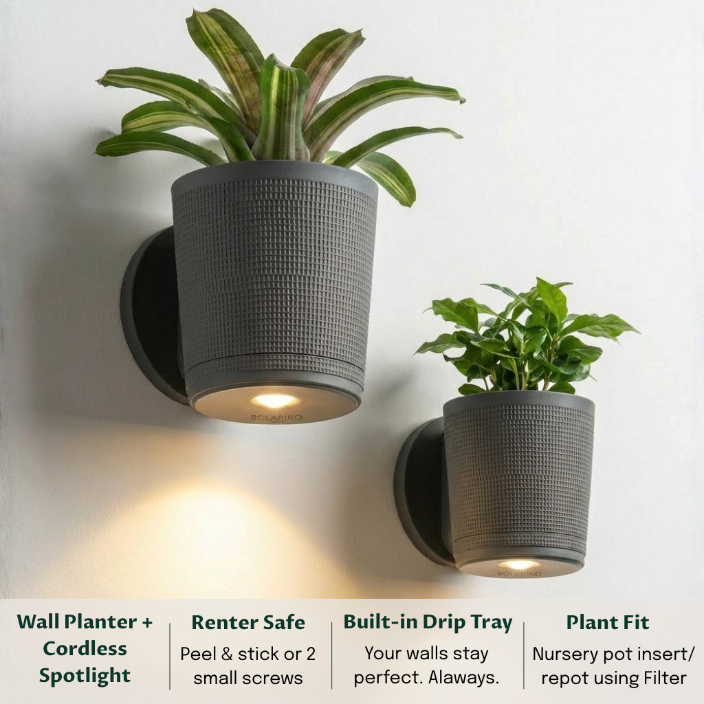 Spotlight Planters Bundle (Small + Large)