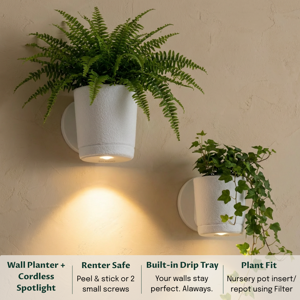 Spotlight Planters Bundle (Small + Large)