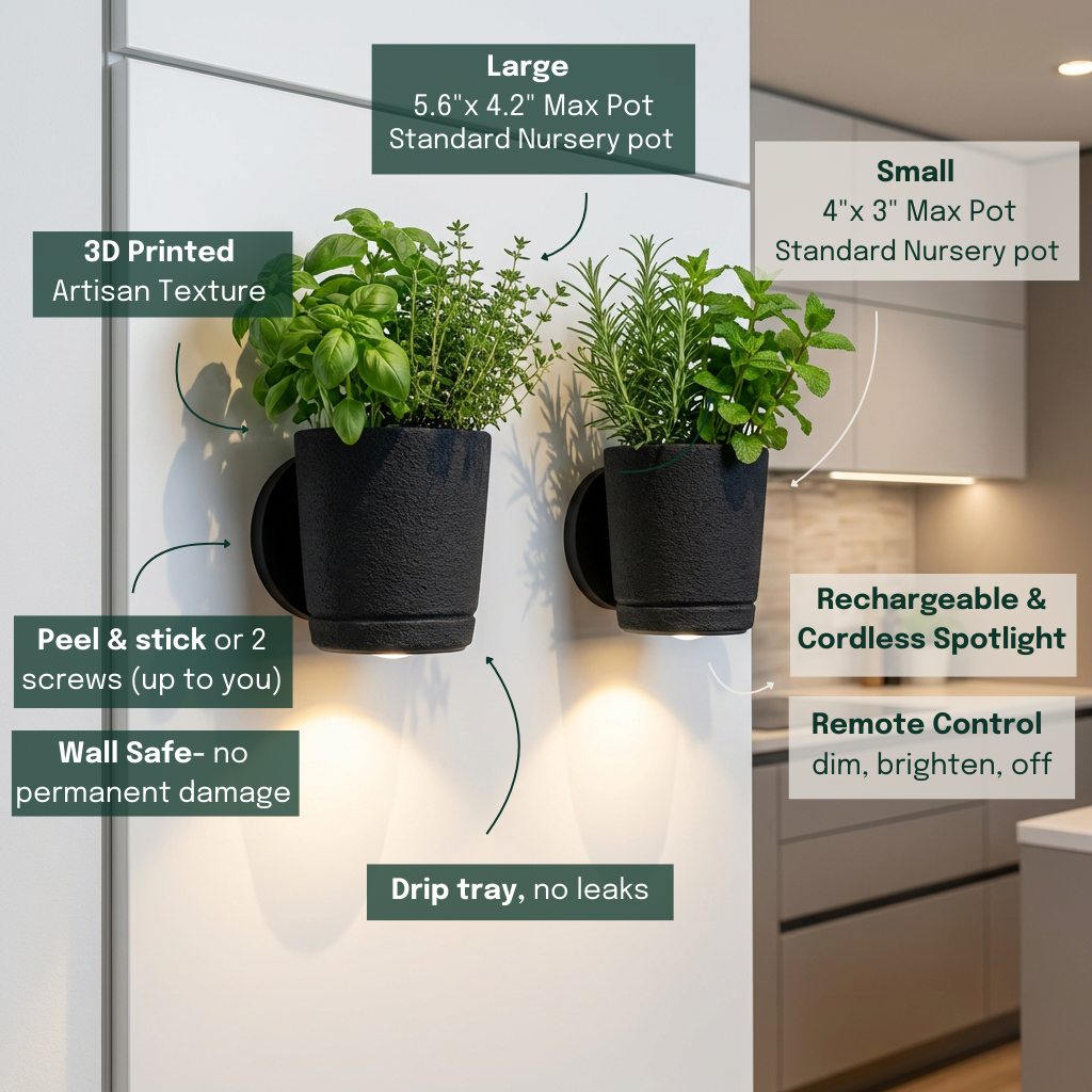 Spotlight Planters Bundle (Small + Large)
