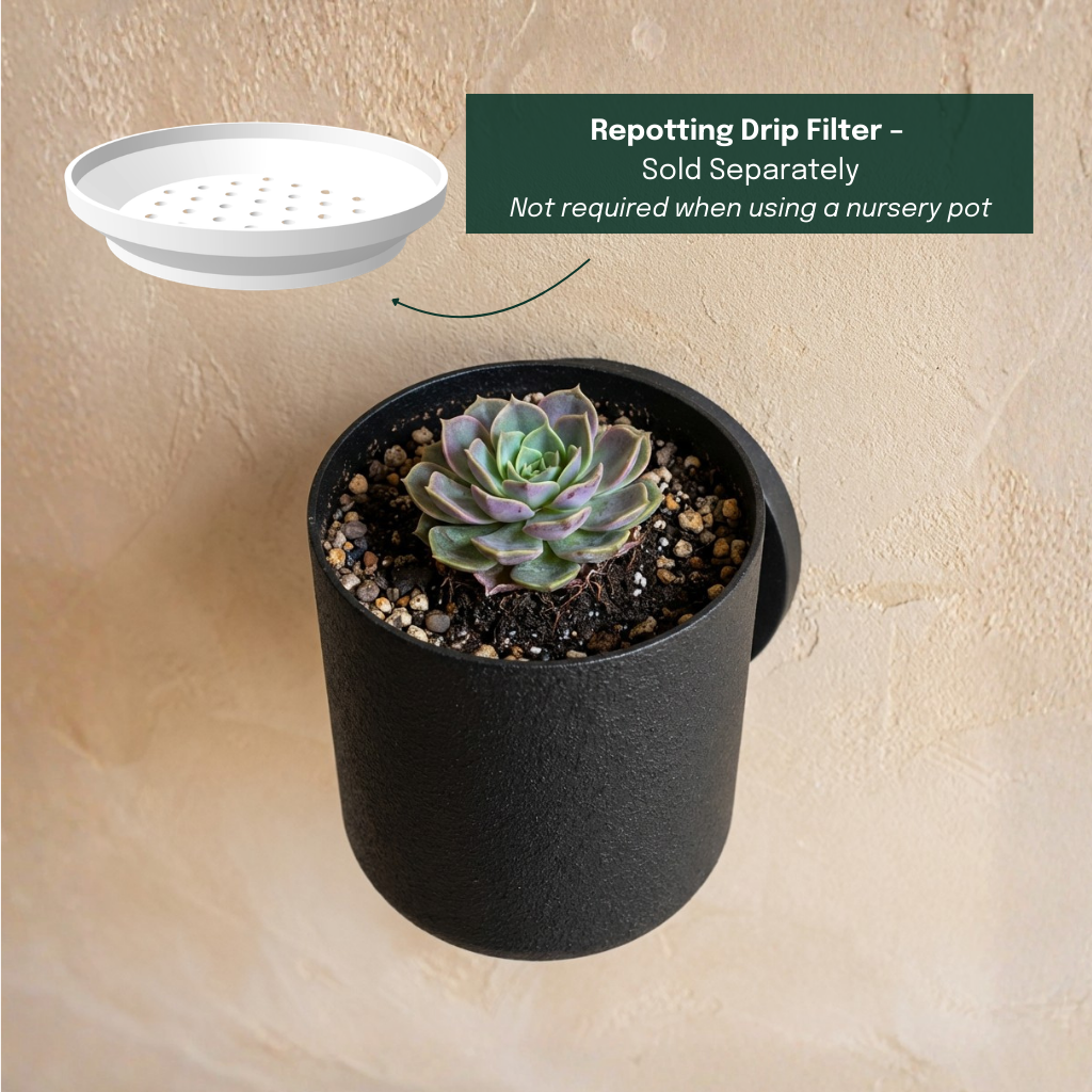 Spotlight Planters Bundle (Small + Large)