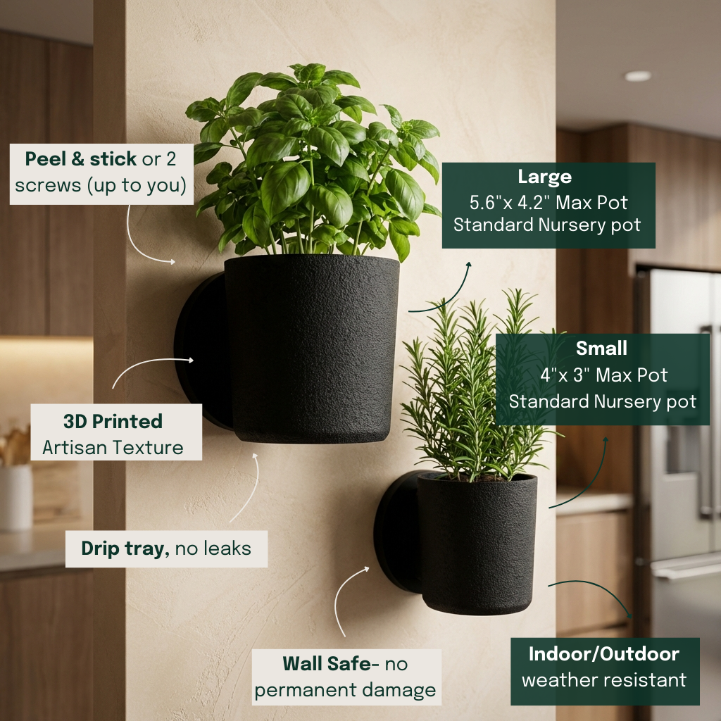 Raw Wall Planters Bundle (Small + Large)
