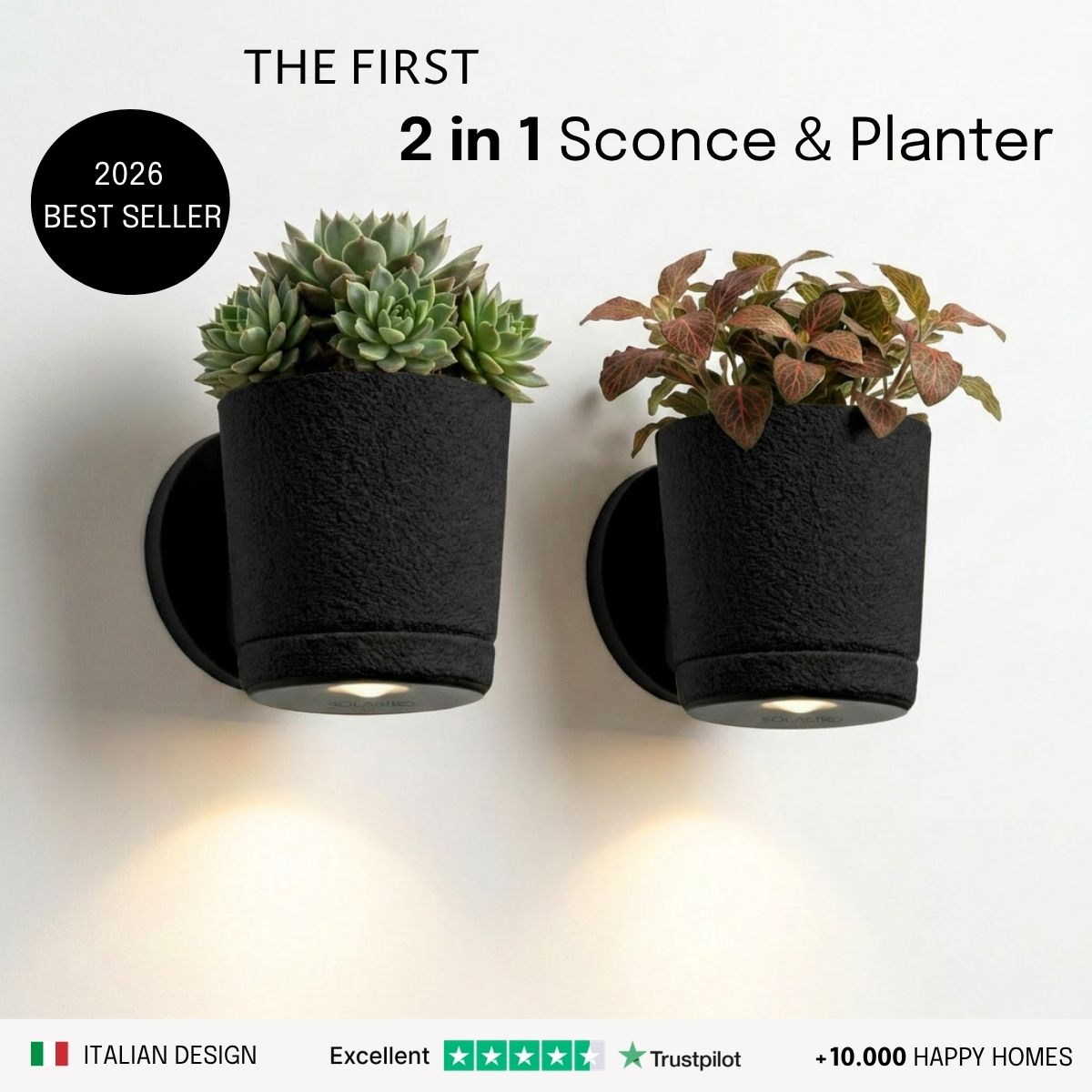 Sconce Planters Bundle