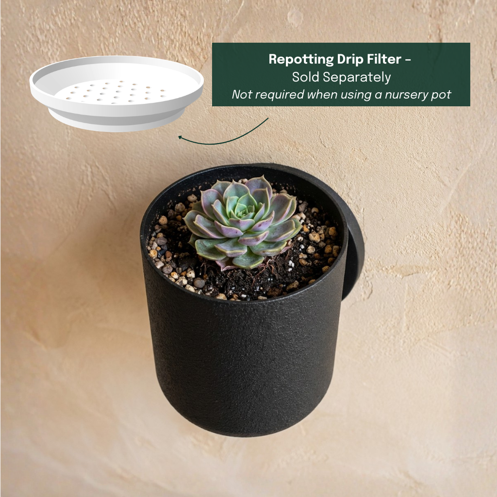 Raw Wall Planters Bundle (Small + Large)