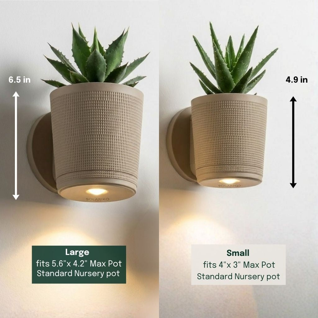 Sconce Planters Bundle
