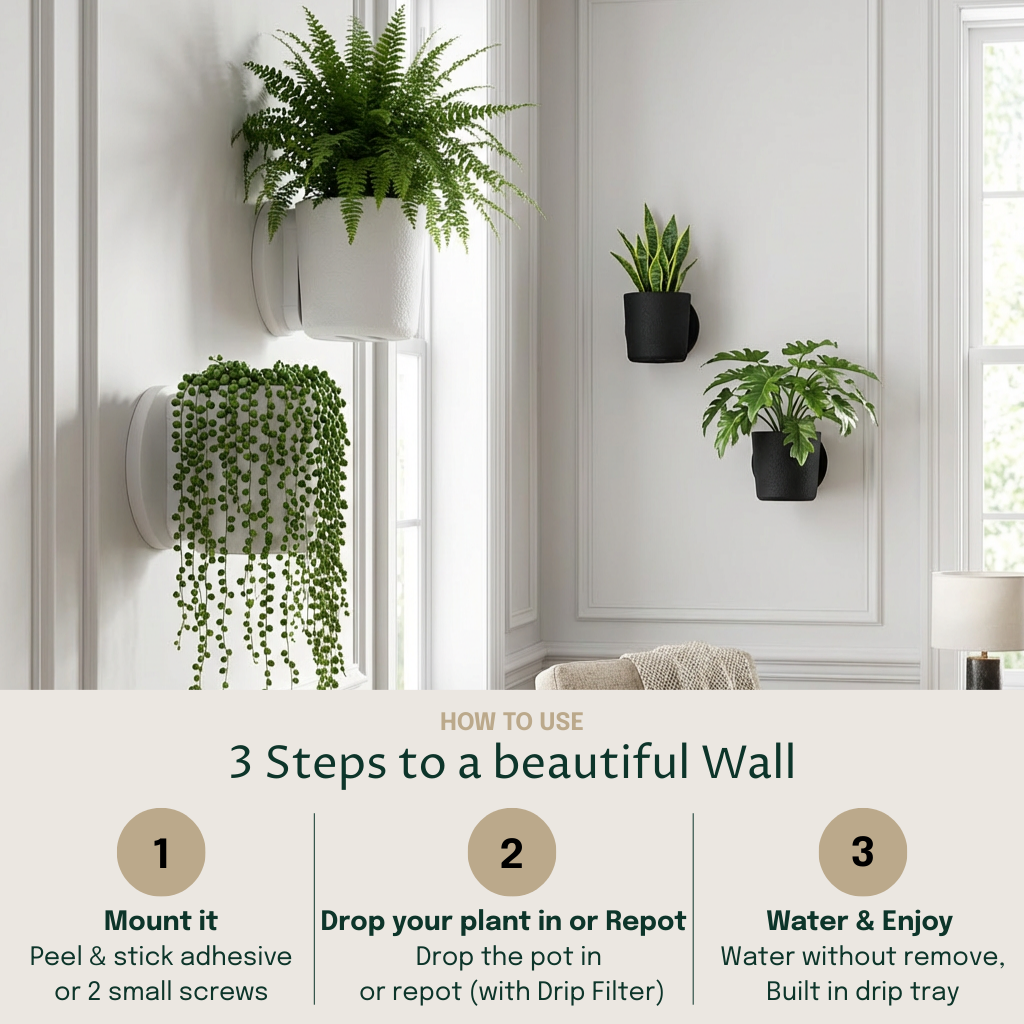 Raw Wall Planters Bundle (Small + Large)