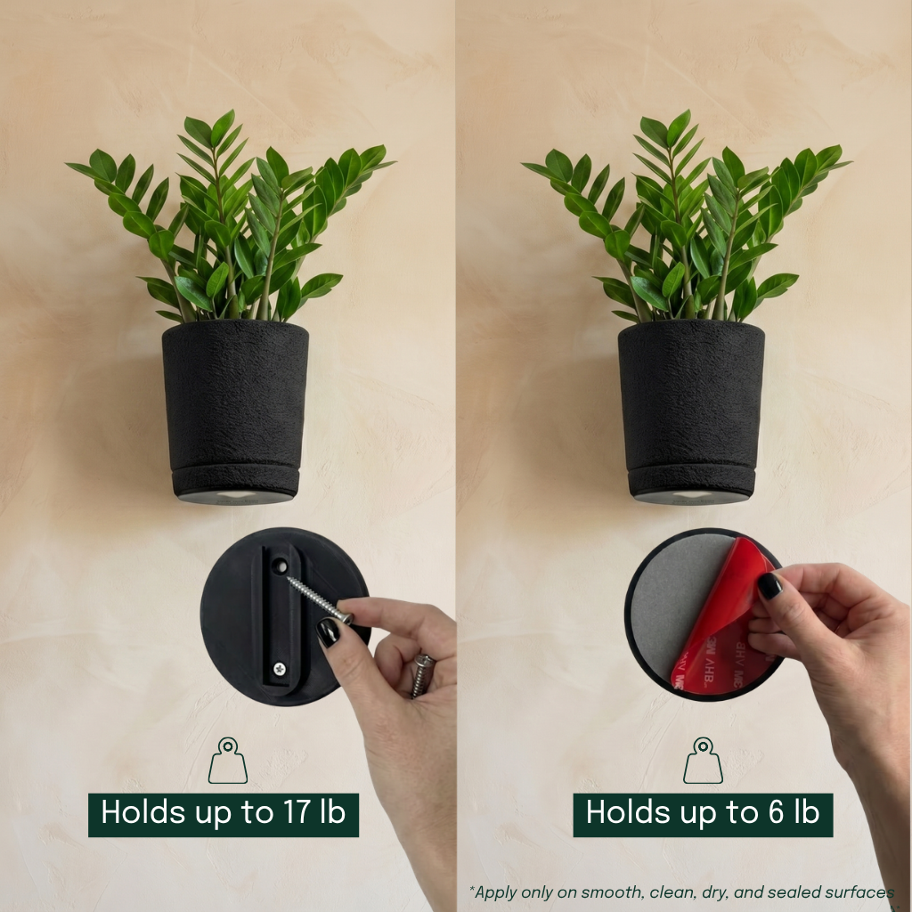 Sconce Planters Bundle