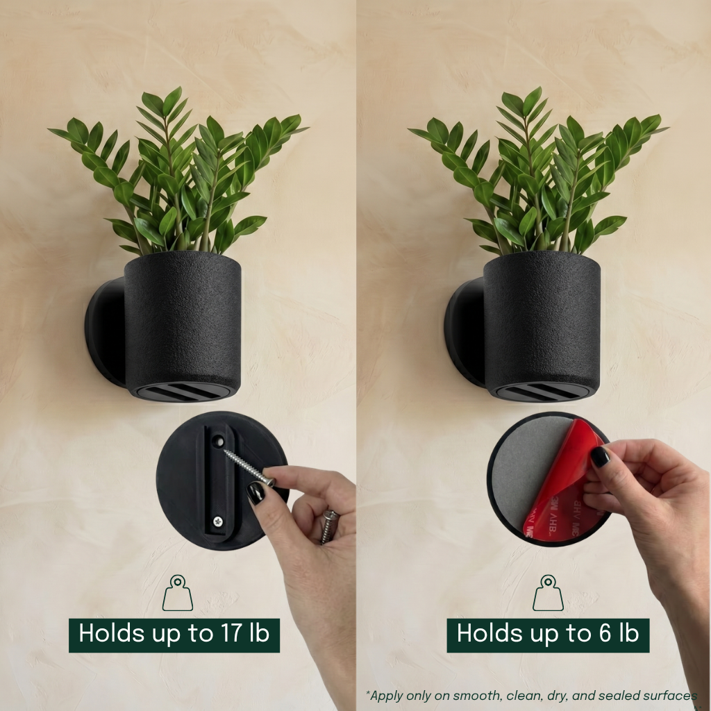 Raw Wall Planters Bundle (Small + Large)