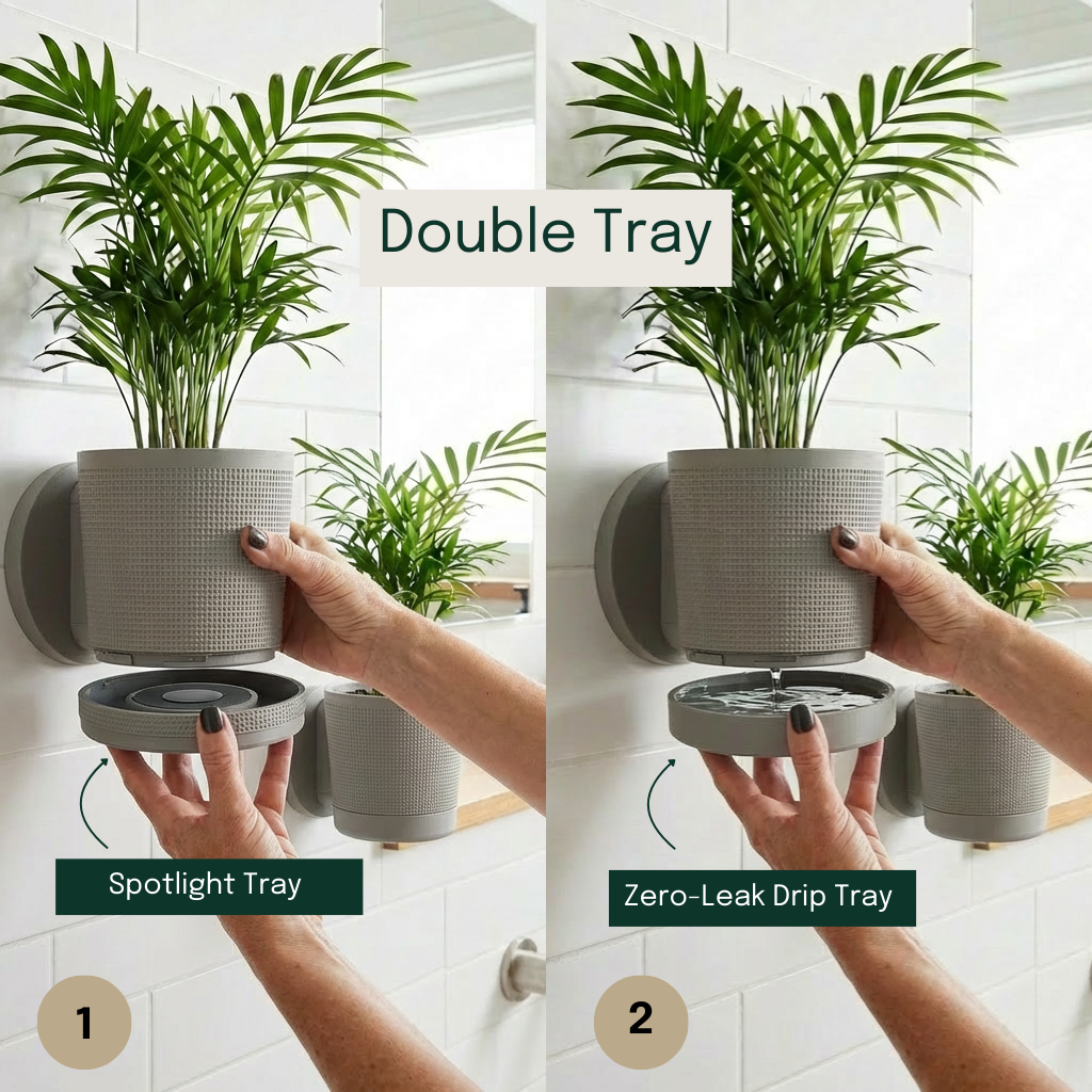 Spotlight Planters Bundle (Small + Large)