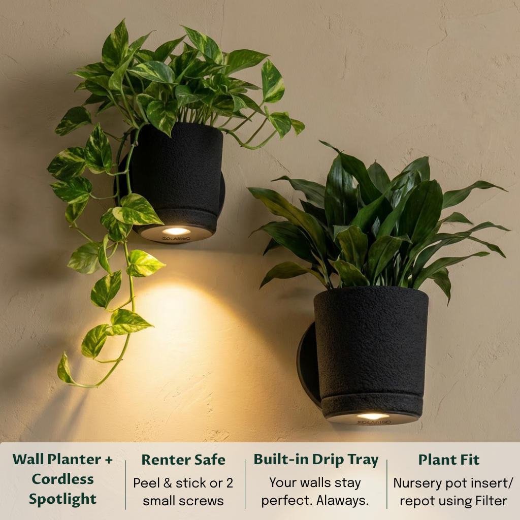 Spotlight Planters Bundle (Small + Large)