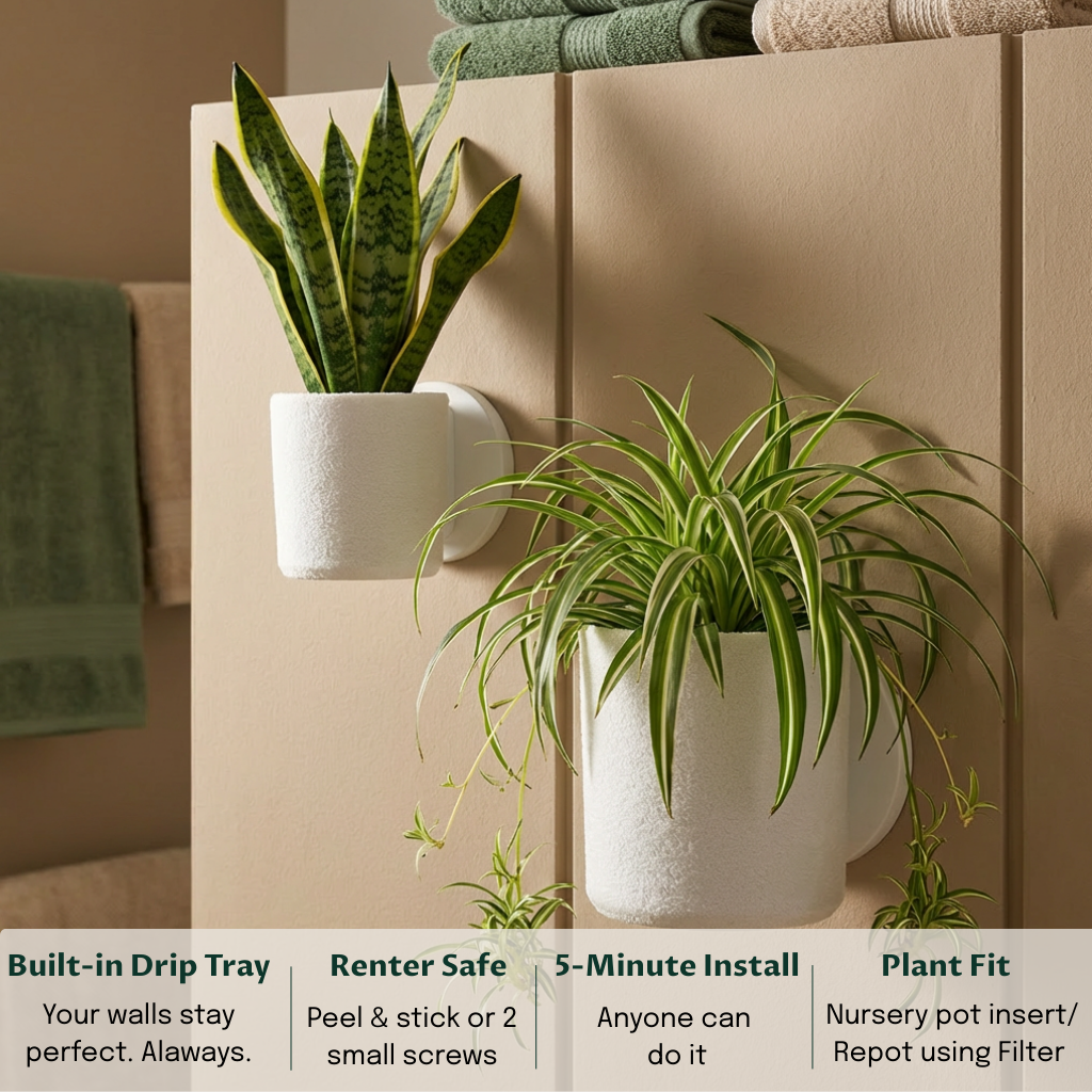 Raw Wall Planters Bundle (Small + Large)