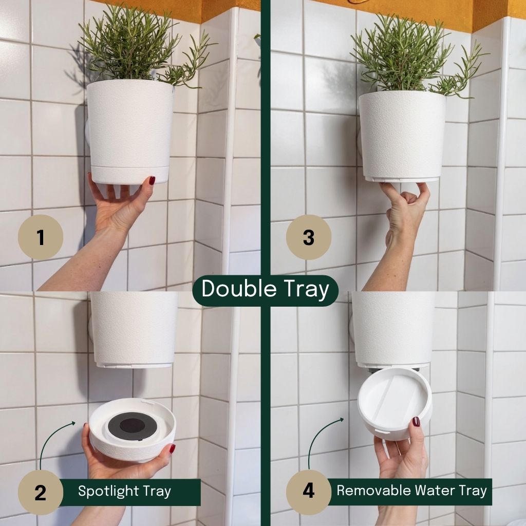 Sconce Planters Bundle