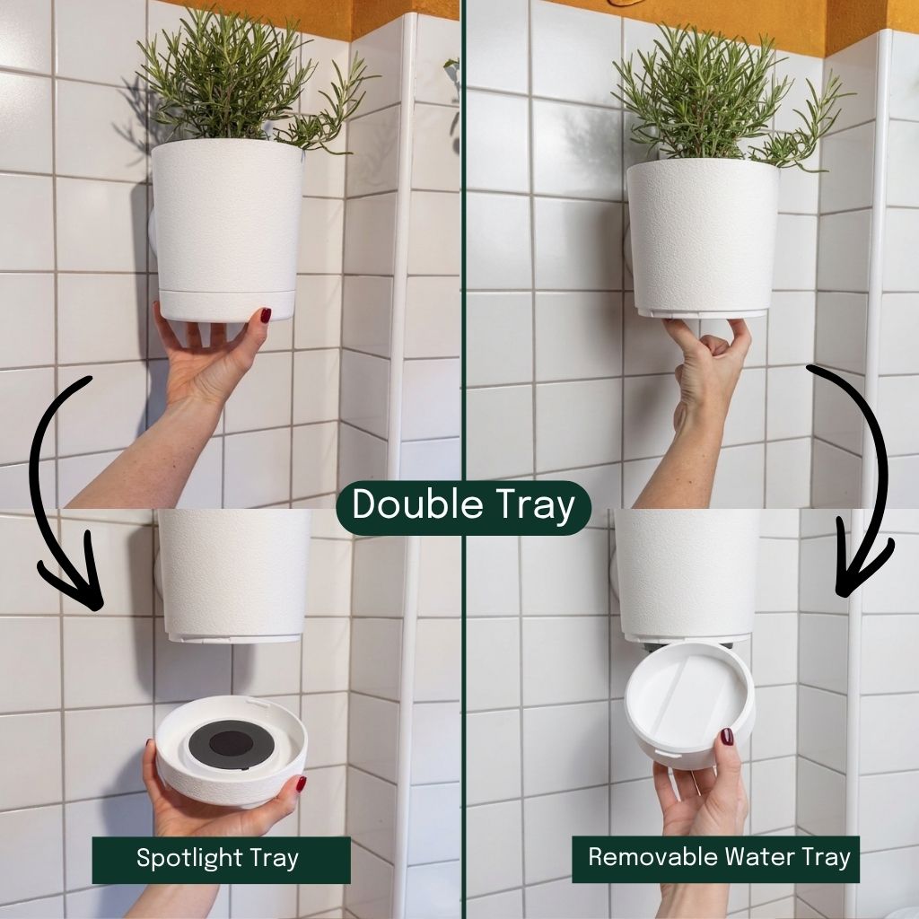 Sconce Planters Bundle