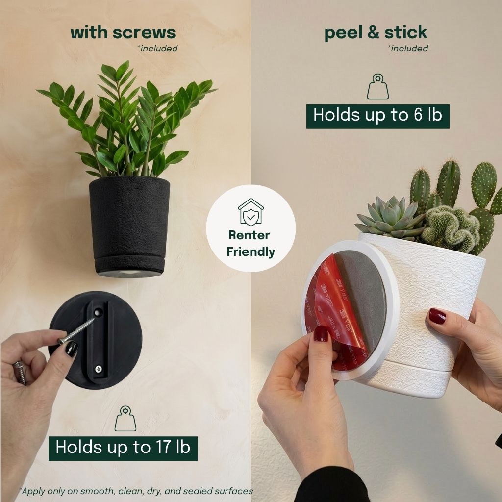 Sconce Planters Bundle