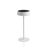 Aurora - Table Lamp