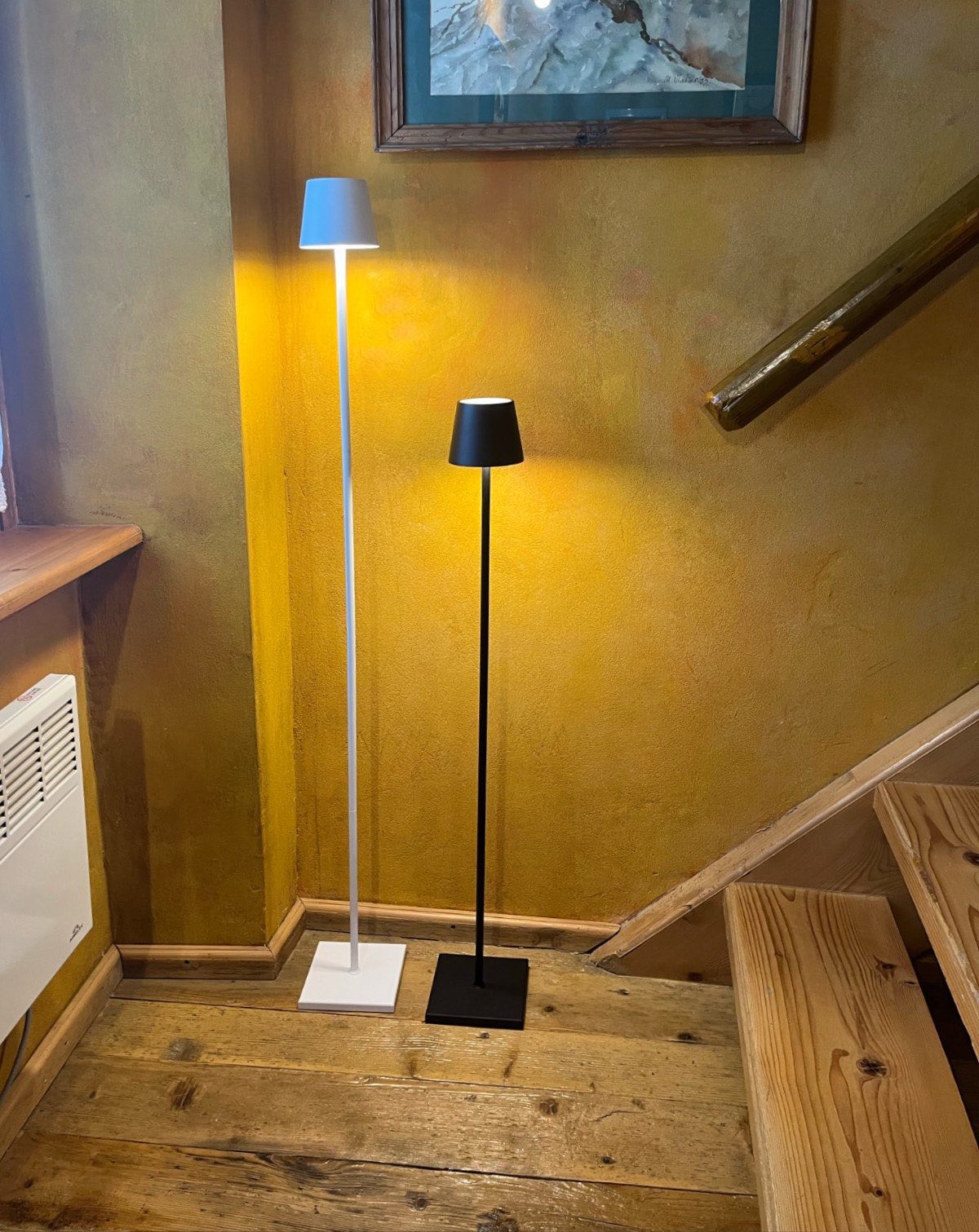 Battery powered fashion led floor lamp