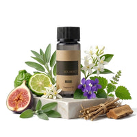 Fragrance Oil - Miami